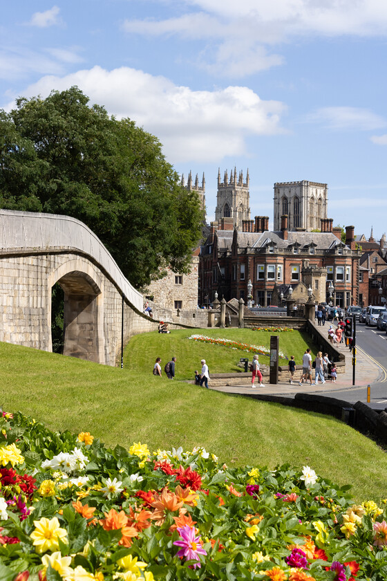 station-road-flowerbed 
 View looking towards York Minster from a flowerbed near the City Walls. Station Road, York.
Photo date: August 2023. Image ref: 2000D_0080. 
 Keywords: flowerbed, Station Road, York, City Walls, Minster, North Yorkshire, England, flowers,