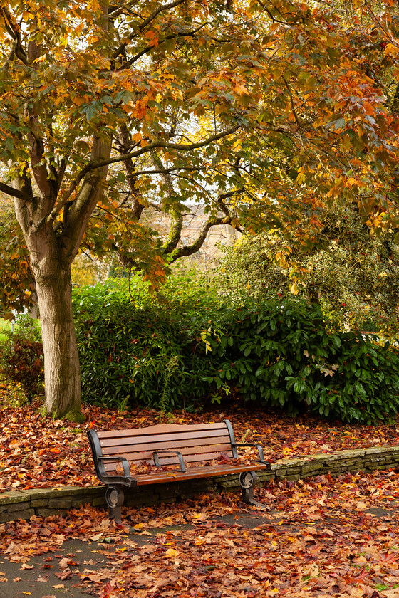 autumn-bench-york 
 Autumnal leaves surround this bench in the War Memorial Gardens, York, North Yorkshire, England.
Photo date: October 2020. Image ref: 5D2_29797. 
 Keywords: autumn, bench, York, North Yorkshire, England, UK, City of York, leaves, War Memorial Gardens, tree, autumnal, colours, nature, trees,