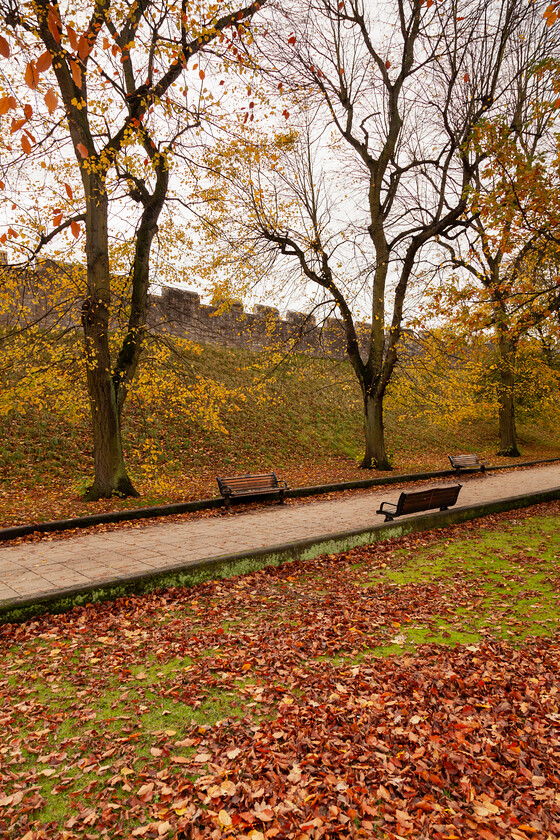 autumn-city-wall-york 
 An autumnal view showing part of the city walls. York, North Yorkshire, England.
Photo date: October 2020. Image ref: 5D2_29815. 
 Keywords: autumn, trees, York, city, walls, benches, North Yorkshire, England, UK, autumnal, leaves, colours, path, wall, nature,